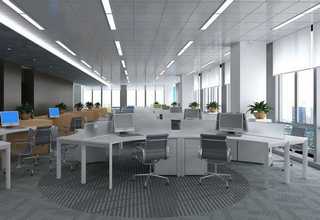 浙江盐焗鸡粉哪里便宜