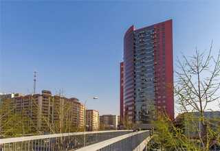 顽石whatsapp群发